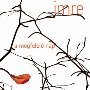 3289320.jpg A megfelelõ nap