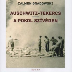 Auschwitz-tekercs, A pokol szívében