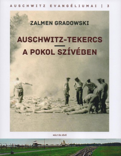 Auschwitz-tekercs, A pokol szívében