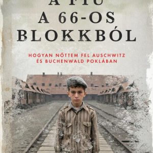 4285175.jpg A fiú a 66-os blokkból