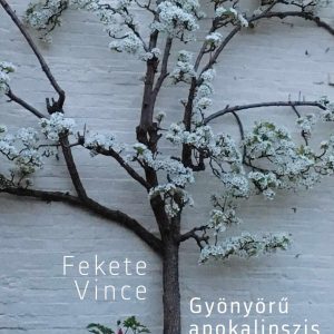 Gyönyörű apokalipszis