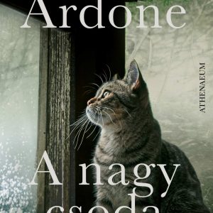 4487453.jpg A nagy csoda