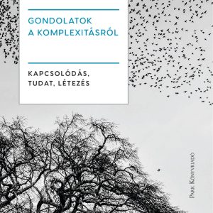 Gondolatok a komplexitásról