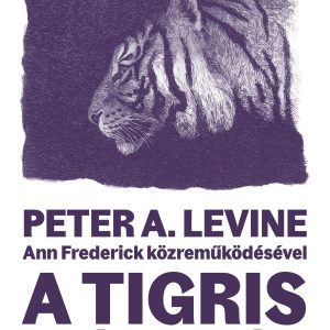 4791802.jpg A tigris felébresztése