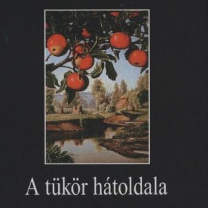 A tükör hátoldala