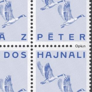 7487946_5.jpg Hajnali láz