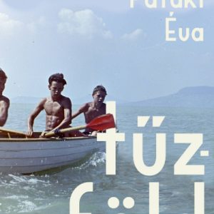 8661334_5.jpg Tűzföld