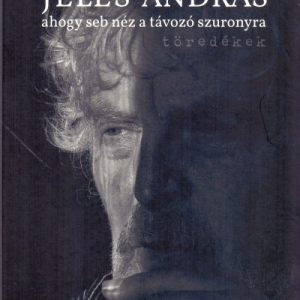 8756792_5.jpg ahogy seb néz a távozó szuronyra - töredékek