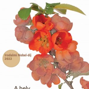 9541347_5.jpg A hely / Egy asszony