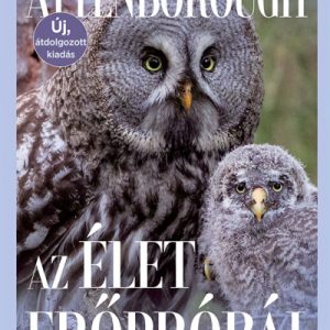 Az élet erõpróbái