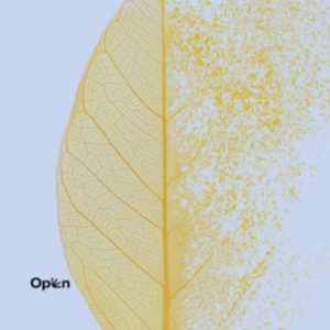 A test lázadása - Ismerd meg a stresszbetegségeket