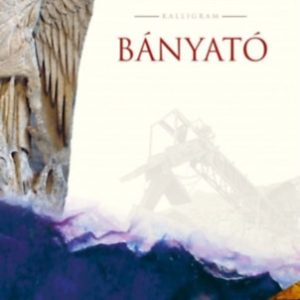 ID22-326261.jpg Bányató