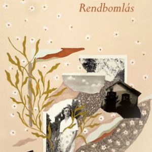Rendbomlás