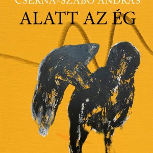 Kolozsvár alatt az ég